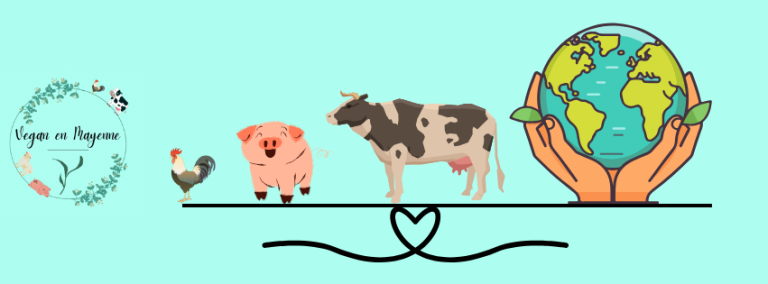 Commande groupée/ dégustation vins mayennais et fromages vegan/ menu du veg&rsquo;événement 4. Tout ce qui doit être réservé à l&rsquo;avance.